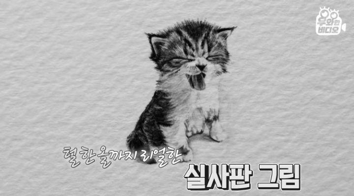 [무한도전] 하하 합류 득인가, 실인가