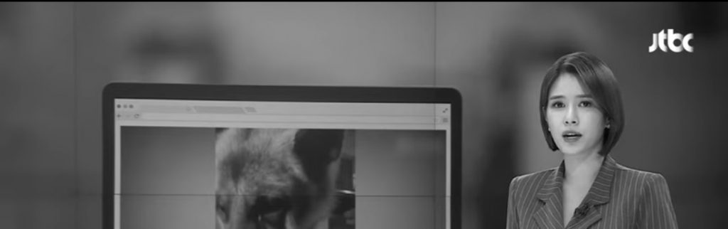 중국 먹방 금지했더니…