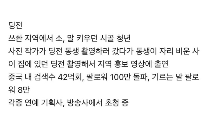 중국은 딩전 앓이중