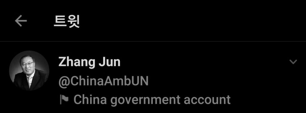 중국 UN 대사의 김치 소개 트윗 논란.jpg