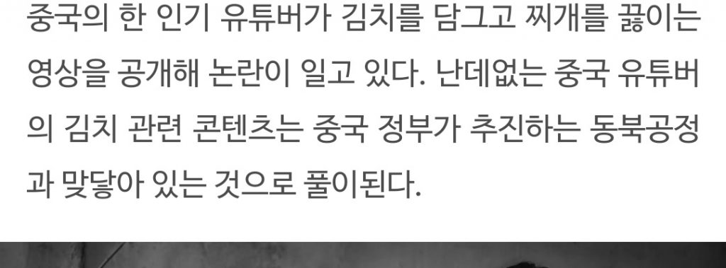 중국 유명유튜버, 김치 담그며 “중국음식” 주장.jpgif