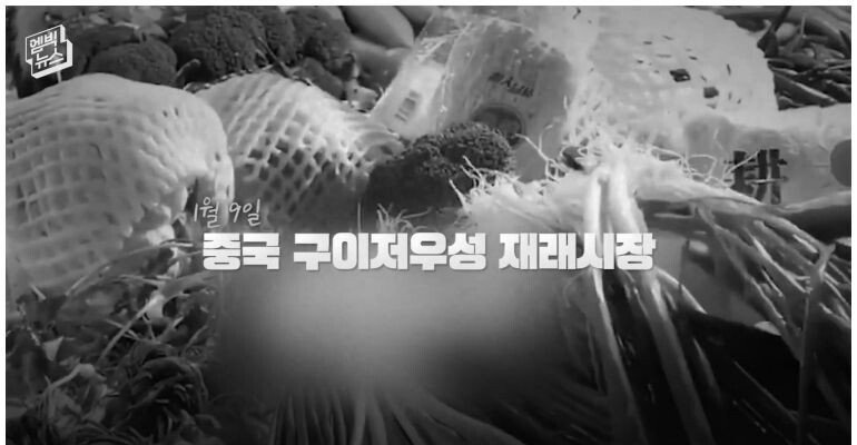 못 믿을 중국 식재료