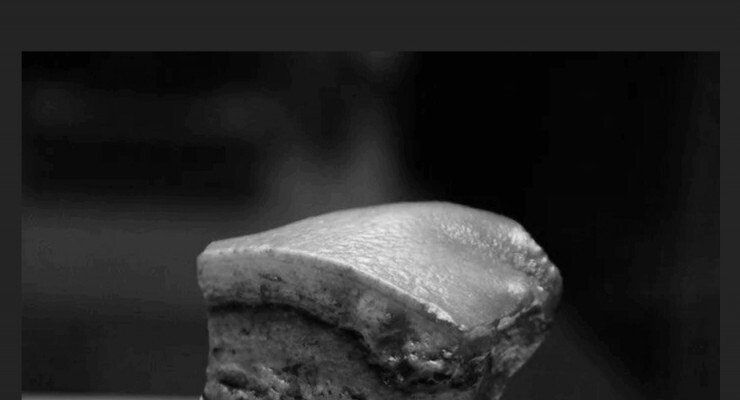 중국의 놀라운 유물들