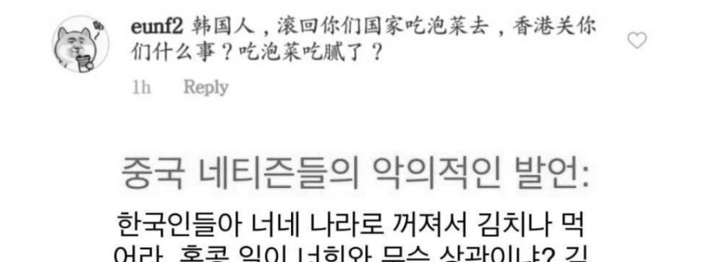 작년까지 중국인들이 한국인 욕할때 쓰던 단어.jpg