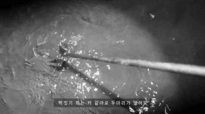 못하는게 없는데 이쁘기까지한 누나