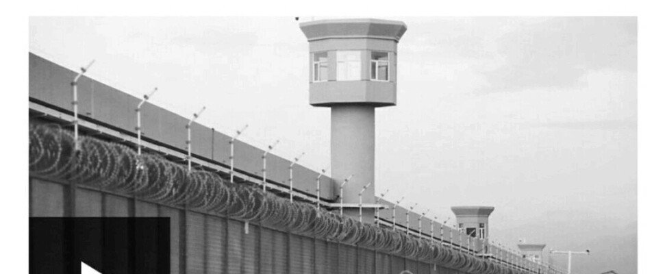 중국 담당 일진.jpgif