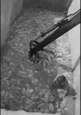 알몸으로 절인 배추 작업…’중국산 김치’ 충격.jpg