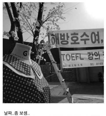 설강화에 나오는 현수막 소품 날짜