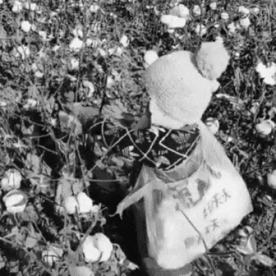 중국의 신장 위구르 착취 장면.gif