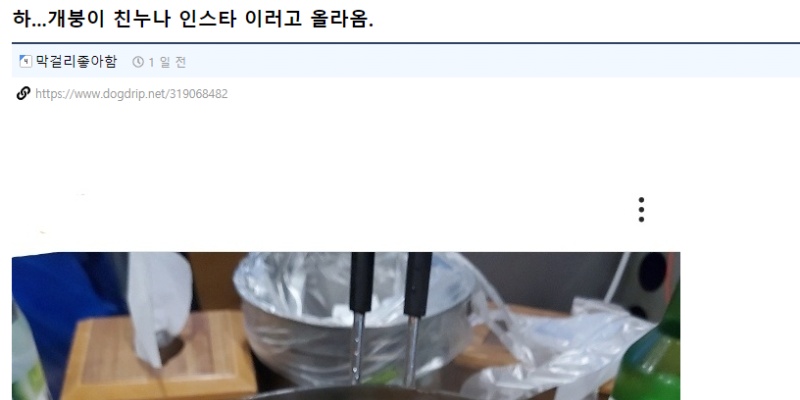 친누나 SNS를 커뮤에 올려서 베스트간 후기 ㅋㅋ