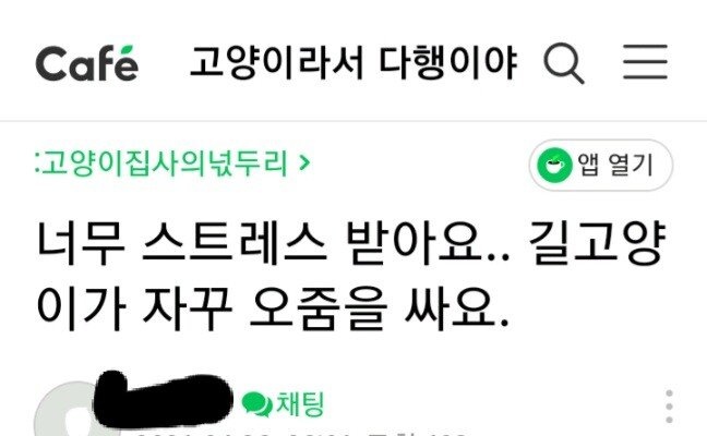 캣맘이 자기 집앞에선 죽어도 밥 안주는 이유.jpg