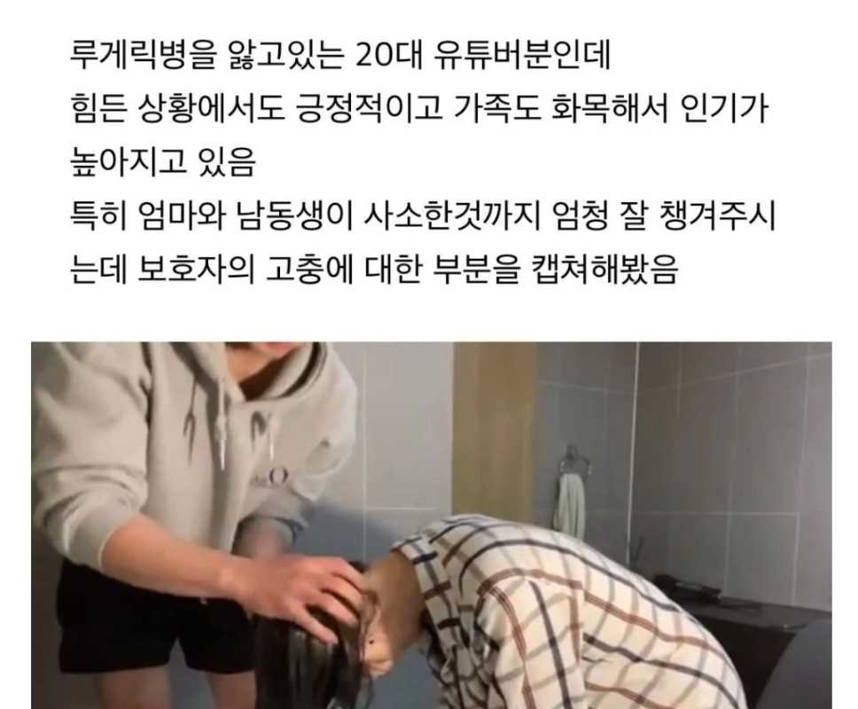 또 여시에서 저지른 거짓 학폭루머