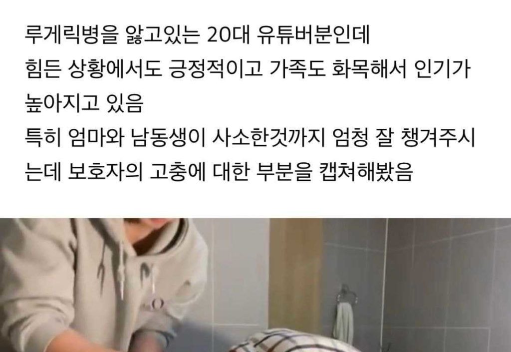 유튜버 가족 루머 퍼트리다가 고소당할 상황인 여시