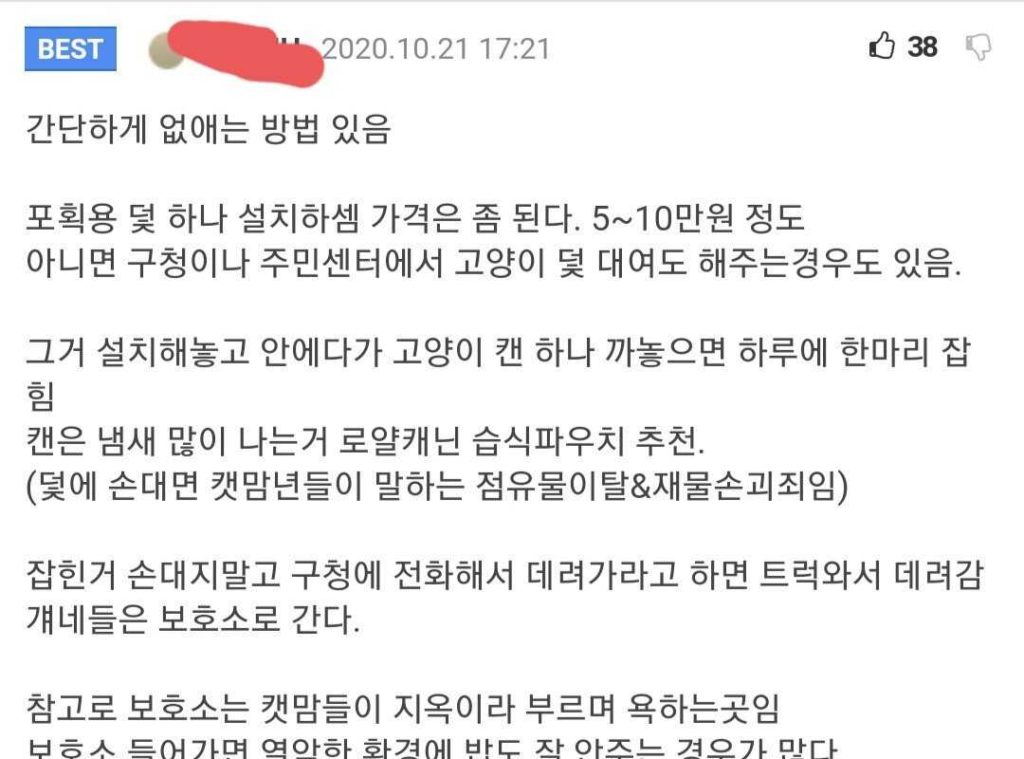 캣맘, 캣대디에 대한 올바른 대처법