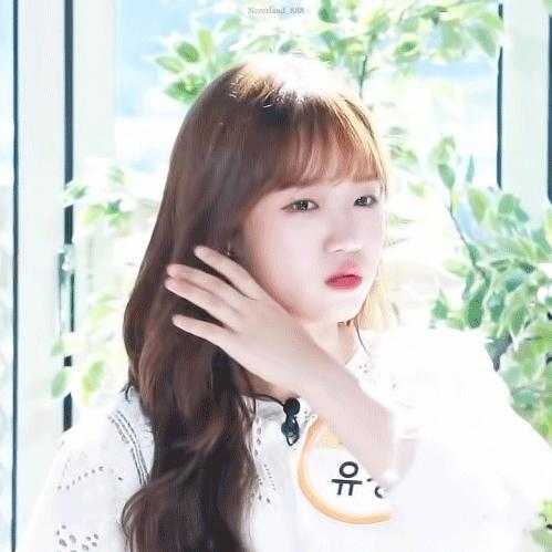 위키미키 유정