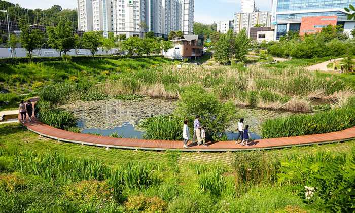 공원 고양이집 철거하겠다는 구청에 캣맘 반응