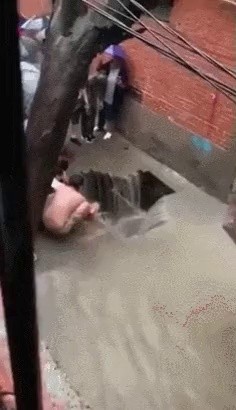 중국에서 싱크홀 구경하다 추락.jpg