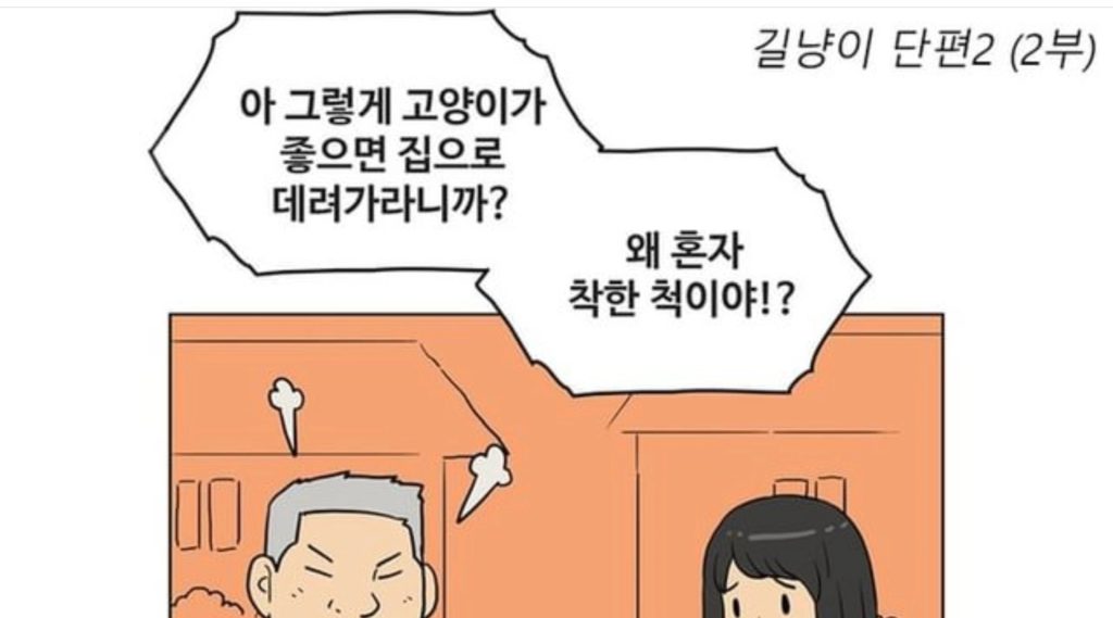 캣망구들이 길고양이를 자기집에 데려가지 않는 이유.