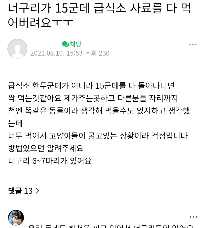 너구리 때문에 캣맘들 비상걸림.jpg