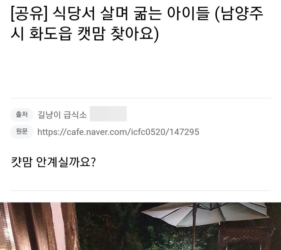 식당에서 고양이 밥 안준다고 빡친 캣맘들