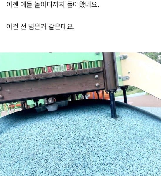 캣맘문제로 싸움난 신도시 맘카페.jpg