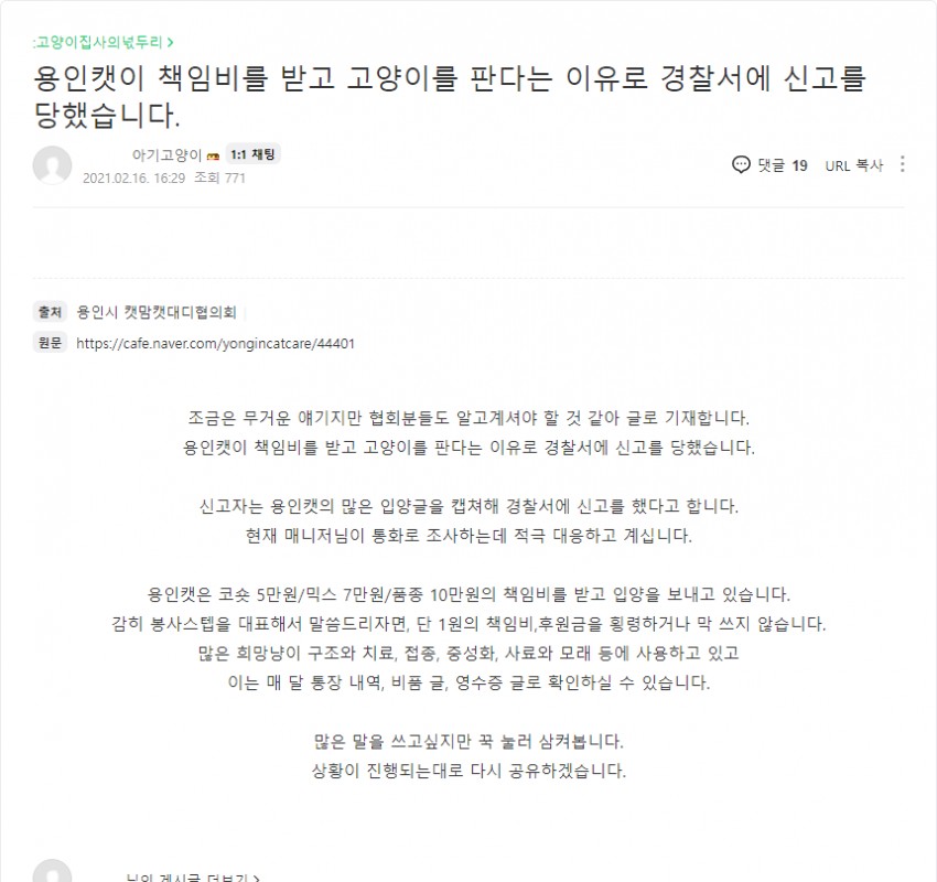 경찰에 신고 당한 캣맘 카페