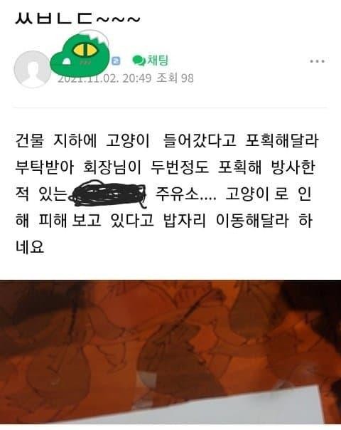 캣맘에게 정중하게 부탁하면 생기는 일