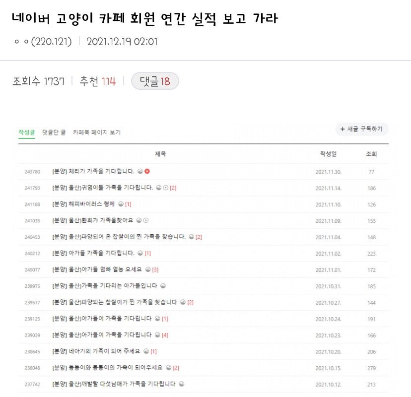 한명의 캣맘이 네이버 대형카페에서 1년간 팔아치운 고양이들