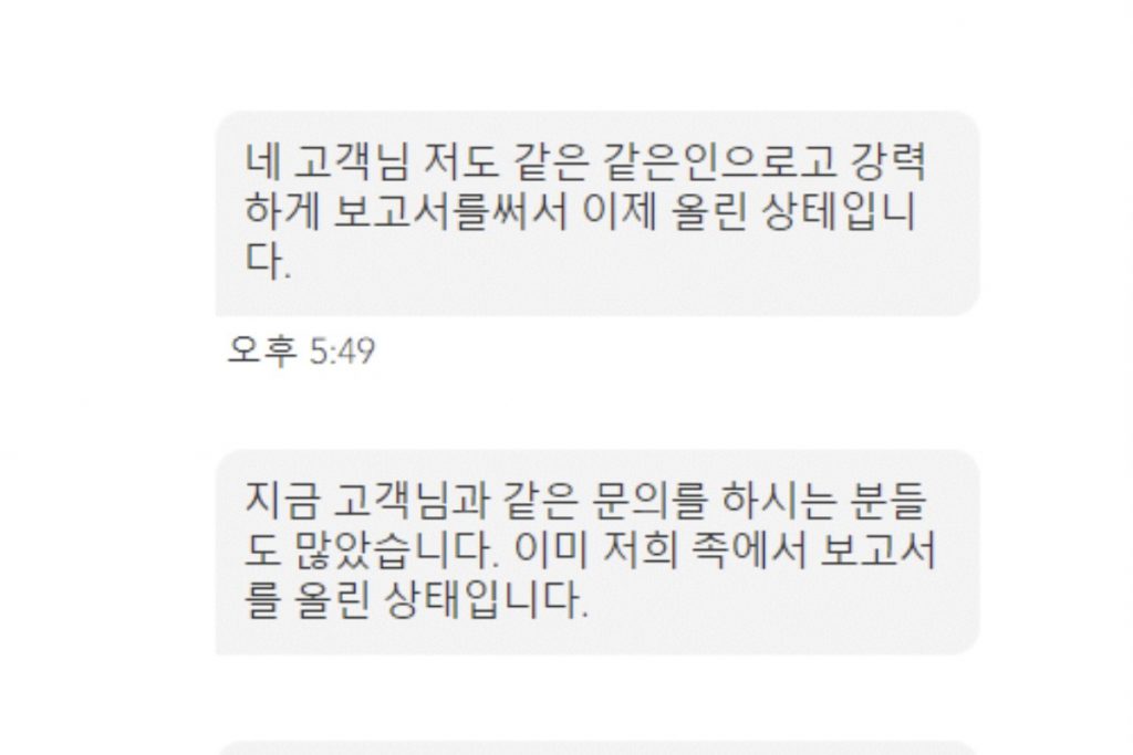 설강화 디즈니플러스 코리아 문의 답변.jpg