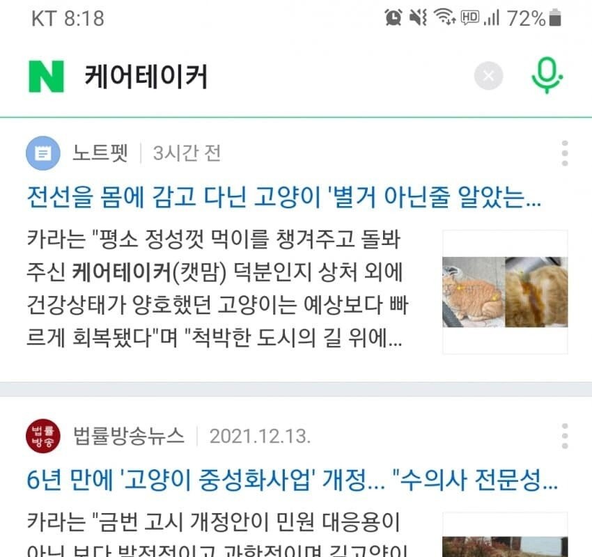 캣맘 인식이 안 좋아지자, 요즘 캣맘들이 밀고 있는 신조어.jpg