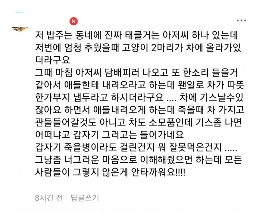 캣맘한테는 가벼운 호의도 베풀지마라