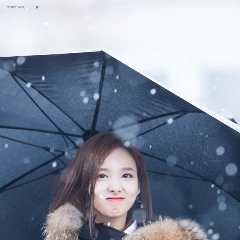 트와이스 미나