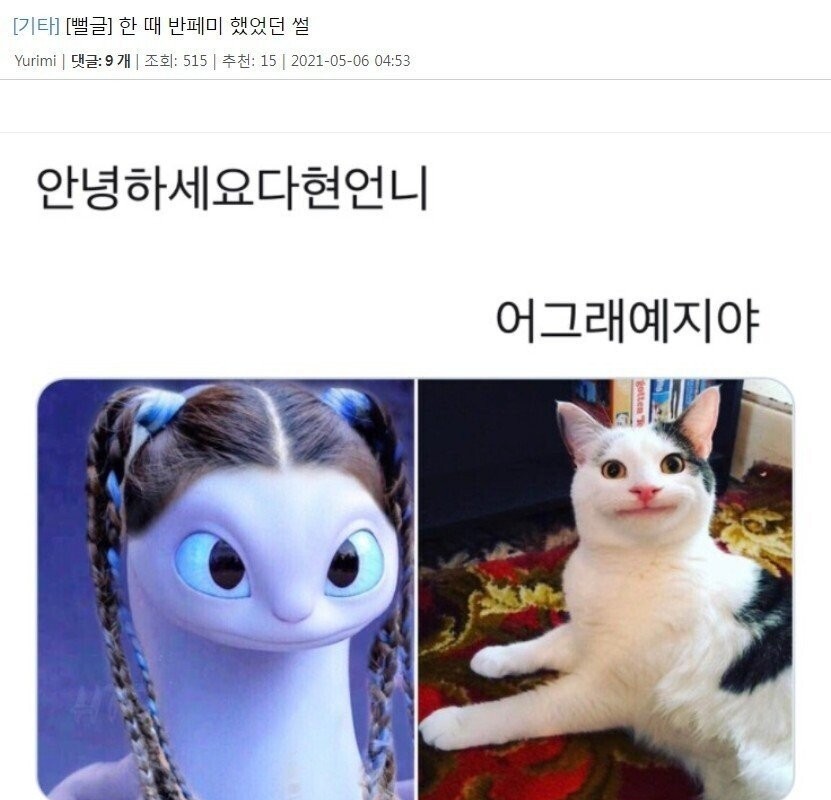 페미에 맞서 싸웠던 여성분의 술회…JPG