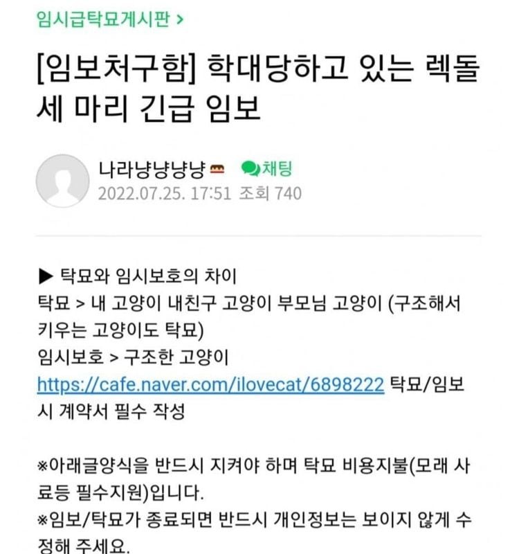 레전드 캣맘