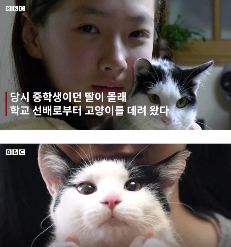 장애가 있는 고양이를 키우면 생기는 일