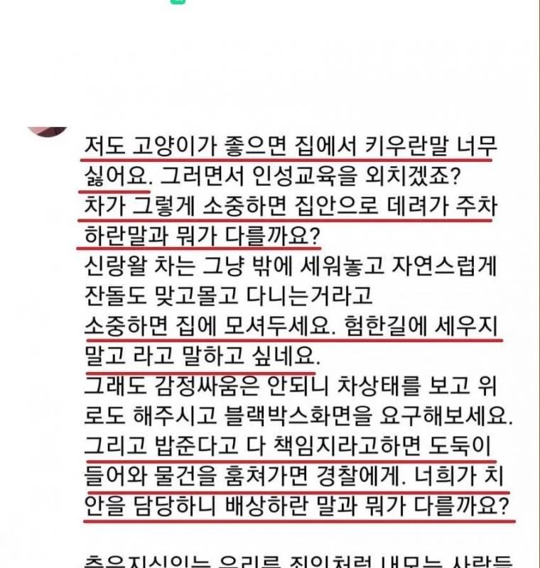 차주들에게 일침놓는 캣맘