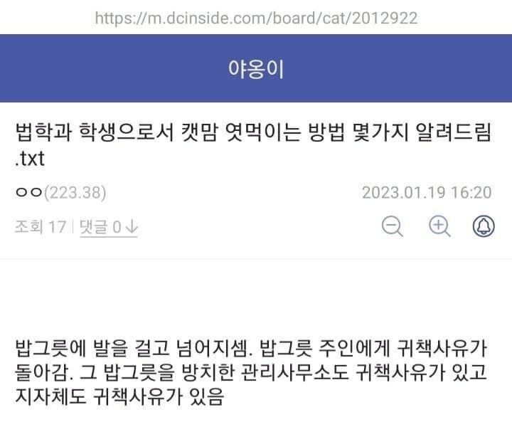 캣맘과 싸우는 방법