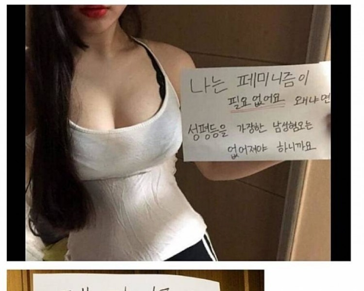 ㅇㅎ) 디시보는 안티페미 인증녀들