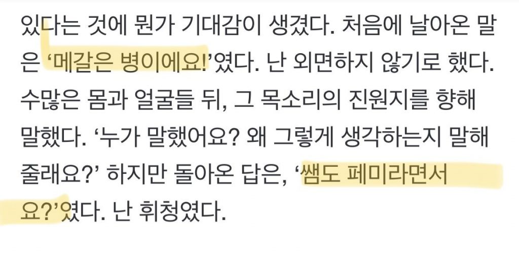 “쌤도 페미라면서요?” 학생 질문에… “네 페미 맞아요. 그게 문제가 될까요?”