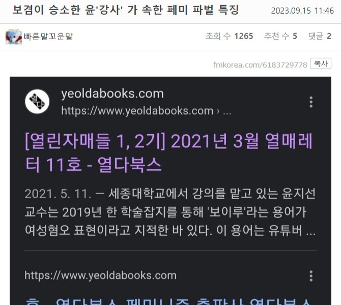 보겸이 승소한 윤모씨가 속한 페미 파벌 특징