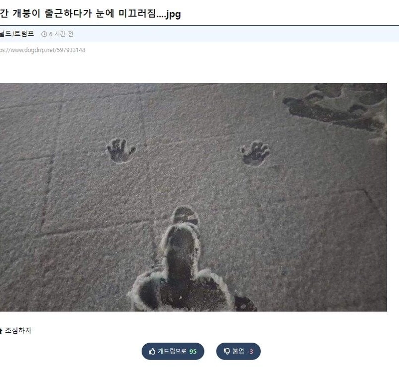 출근하다가 눈에 미끄러진 사람.JPG