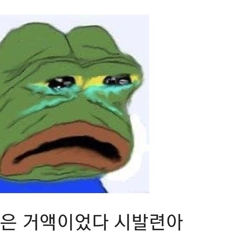 내가 주식은 소액으로 하는이유