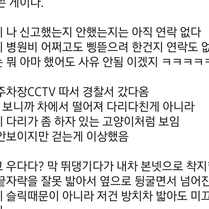 싱글벙글 캣맘에게서 온 문자