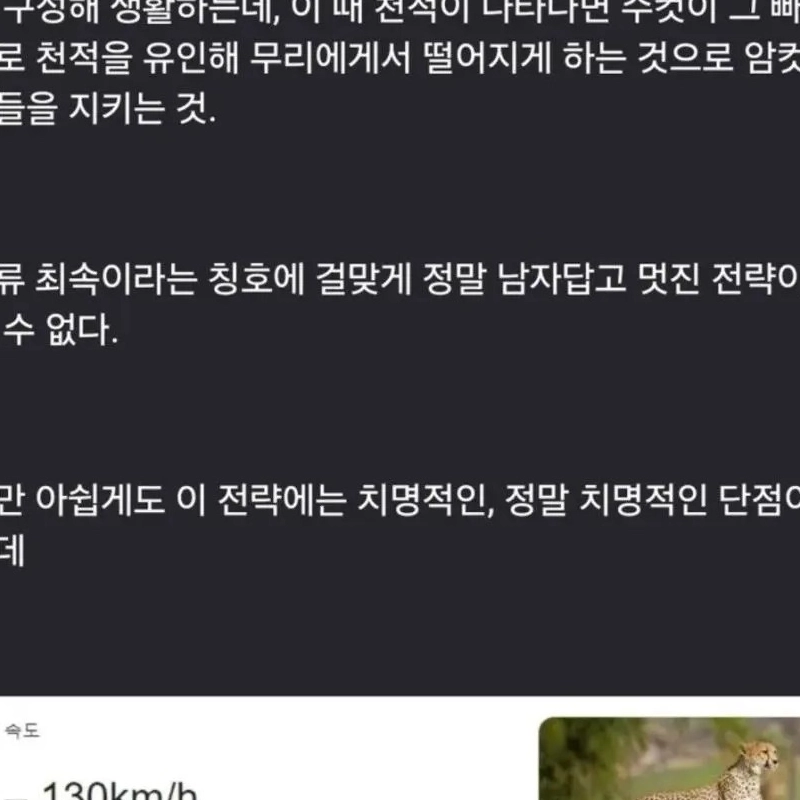 영장류 최속의 동물의 치명적인 단점