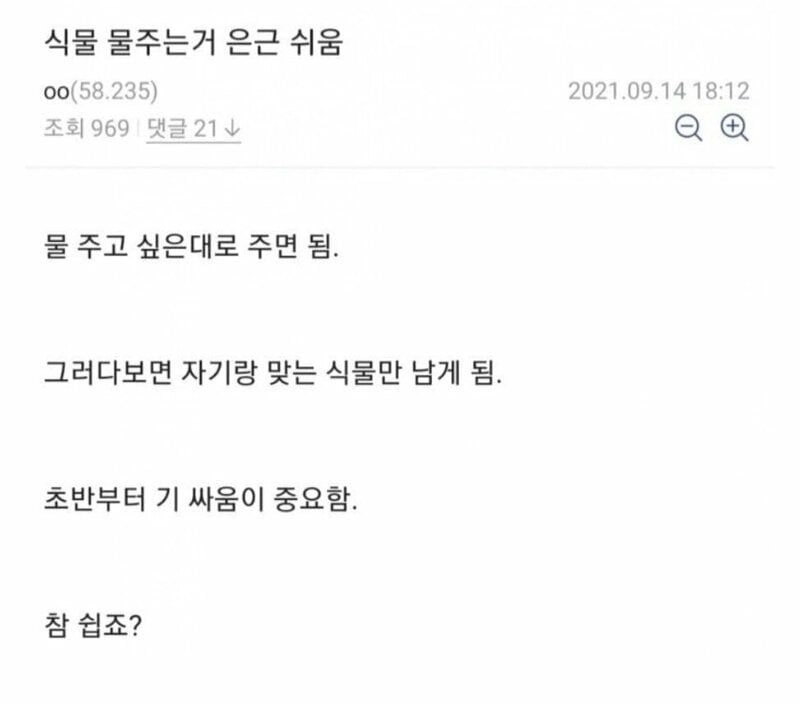 식물 물주는거 은근 쉬움