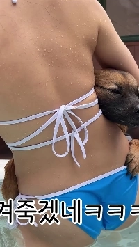 (SOUND)개조이 주인 수영장 파란 비키니 몸매