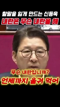 (SOUND)내힘 신동욱 무슨 내란을 해요?.mp4