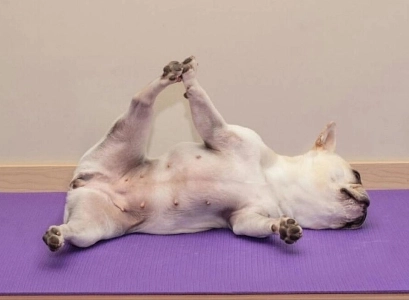 이거 머냐 김문수 ㅋㅋㅋㅋ