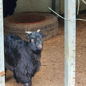 윤석열, 모두가 의심한 그 말 꺼냈다