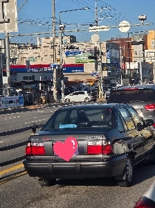 길가다 너무반가워서 사진한장 찍었어요